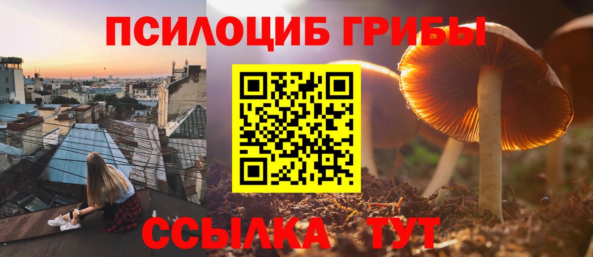Мелеуз  Псилоцибиновые грибы Psilocybe  Вход с VPN 